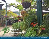 The Plant Management Company image 7
